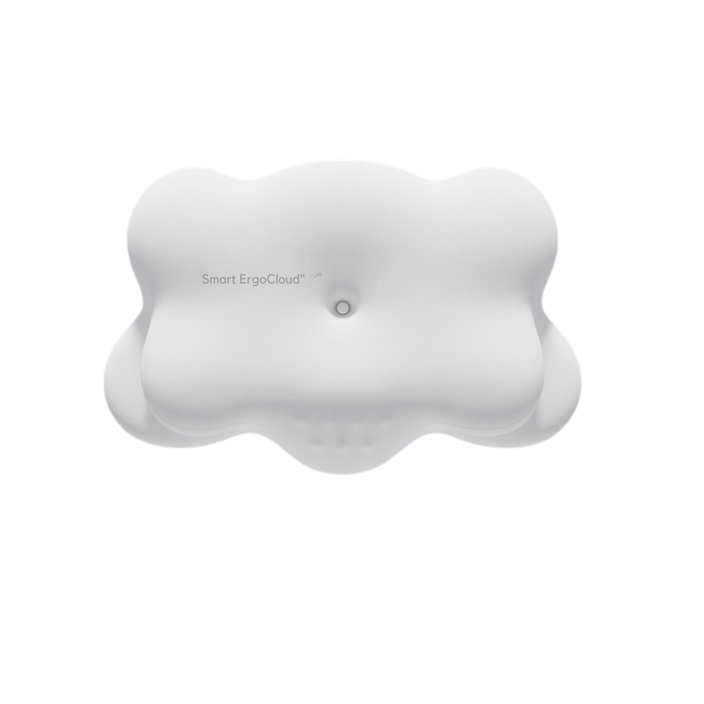 Family Bundle (4 Pillows)